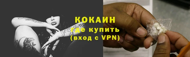 СК Кукмор