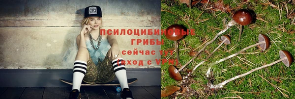 СК Кукмор