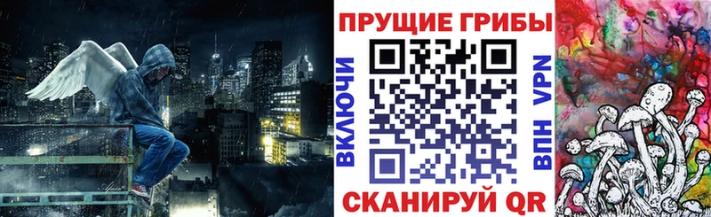 Псилоцибиновые грибы Psilocybine cubensis  Тотьма 